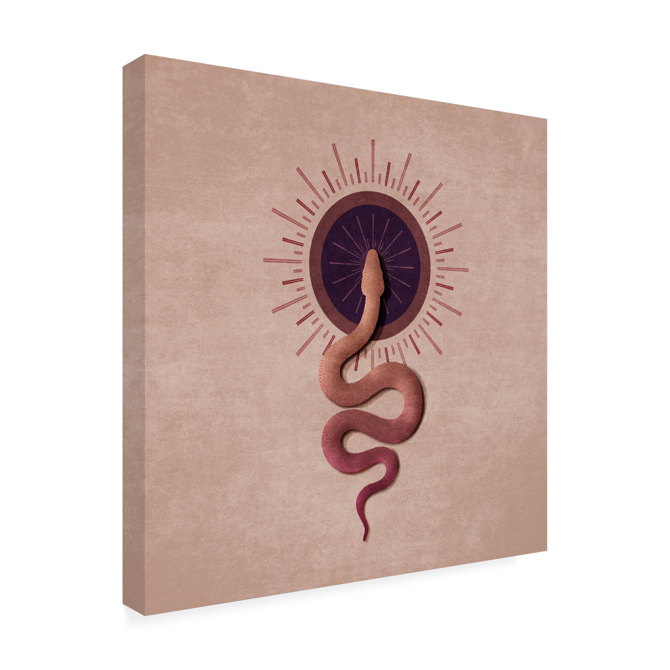 Trademark Fine Art Emel Tunaboylu Sun Snake Canvas Wall Art