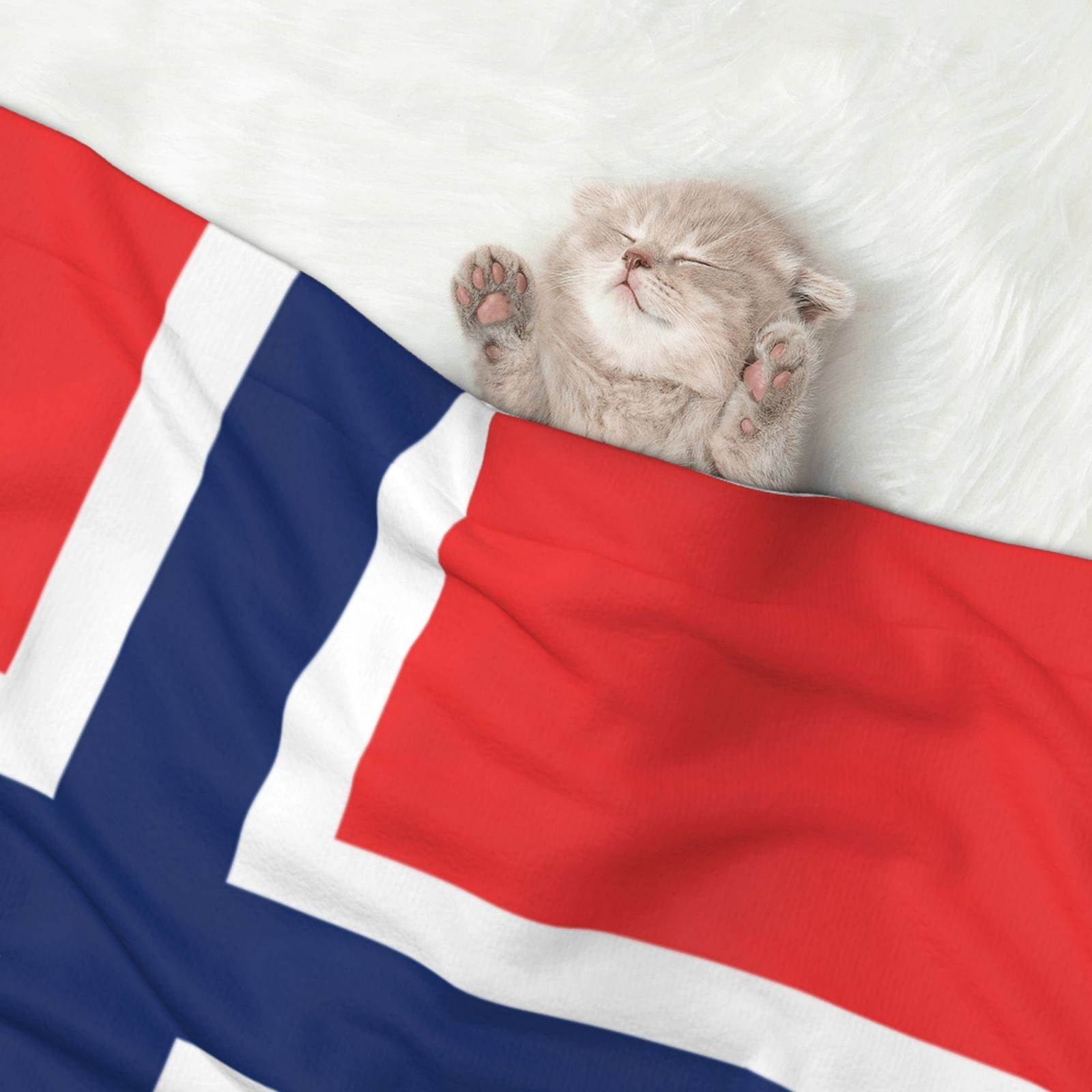 Flannel Throw Dog Blanket Norway Flag Soft Warm Print Pet Blankets for Small Dog Cat Puppy