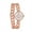 Rose gold, variant on BS New Fashion Women's Watch Chain Watch Double Chain Light Luxury Minority Rome