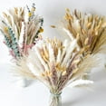 thumbnail image 4 of Lomyolo 85PCS Natural Dried Pampas Grass Bouquet,Boho Home Decor Bouquet, Phragmites Dried Flowers,Bouquet for Wedding Floral Arrangements Home Decorations, 4 of 6