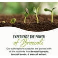 thumbnail image 6 of 50MG Sulforaphane Supplement from Broccoli Sprouts | NRF2 Activation with Glucoraphanin, Myrosinase & Antioxidants | Support Cellular & Immune Health | Broccoli Seed Microbeadlets, Vegan 60 Count, 6 of 11