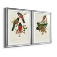 thumbnail image 2 of Wexford Home Elegant Trogons IX Premium Framed Print, 26.5" x 36.5" - Ready to Hang, Silver (Set of 2), 2 of 9