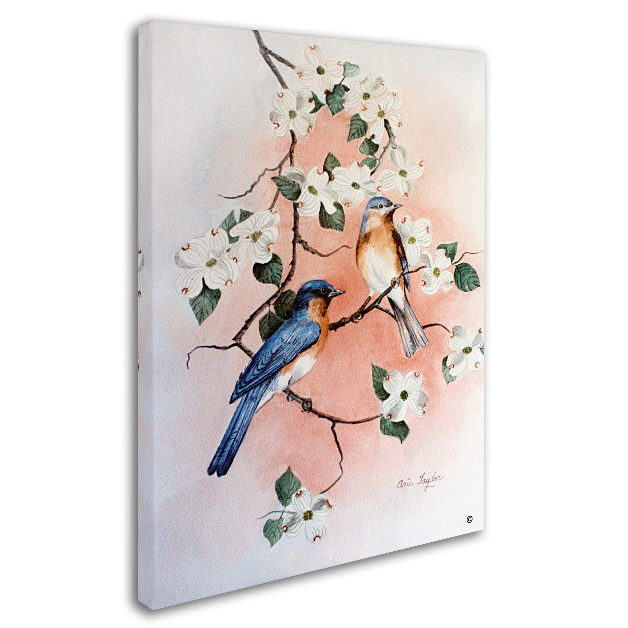 Trademark Fine Art 'Bluebirds And Dogwood' Canvas Art by Arie Reinhardt Taylor
