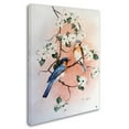 thumbnail image 2 of Trademark Fine Art 'Bluebirds And Dogwood' Canvas Art by Arie Reinhardt Taylor, 2 of 3