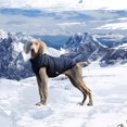 thumbnail image 6 of Dog Winter Coat,Dog Jacket with Harness,Dog Jacket for Small Medium Large Dogs,Pet Outdoor Jacket,Waterproof Windproof Dog Snow Jacket with Zipper, 6 of 9