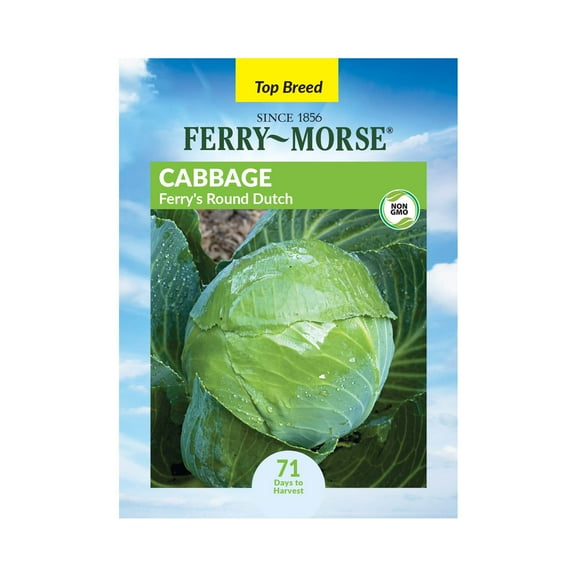 Ferry-Morse 500MG Cabbage Ferry's Round Dutch Annual Vegetable Seeds, Full Sun