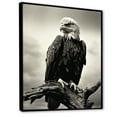 thumbnail image 2 of Designart "Majestic Bold Eagle I" Animals Eagle Floater Framed Wall Art Prints, 2 of 5