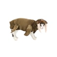 thumbnail image 2 of Walrus Dog Costume, 2 of 2
