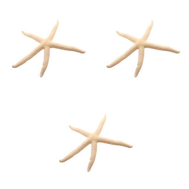 Yuarrent Natural 5-12cm/10-12cm White Finger Starfish Sea Exquisite Decorations Window Starfish Portable Home Stylish Decor blanco 5-10cm 3piezas