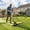 Yellow-14inch, variant on Push Reel Lawn Mower 14 Inch, 5-Blade Manual Reel Mower Walk-Behind, Adjustable Cutting Height Hand Push Mower for Small to Medium Yards, Quiet Lawn Care Tool, Green
