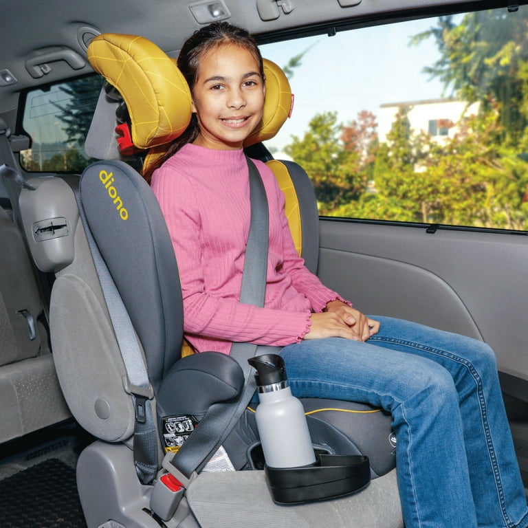Diono monterey 2 car compatibility hotsell