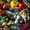 Garden Grown Vegetables, variant on Elephant Stock Blueberries And Blackberries Wall Art - Vertical Multi Panel Canvas - Kitchen Wall Decor - Food And Drink Multi Panel - Blue And Black Decor - 20" x 32"