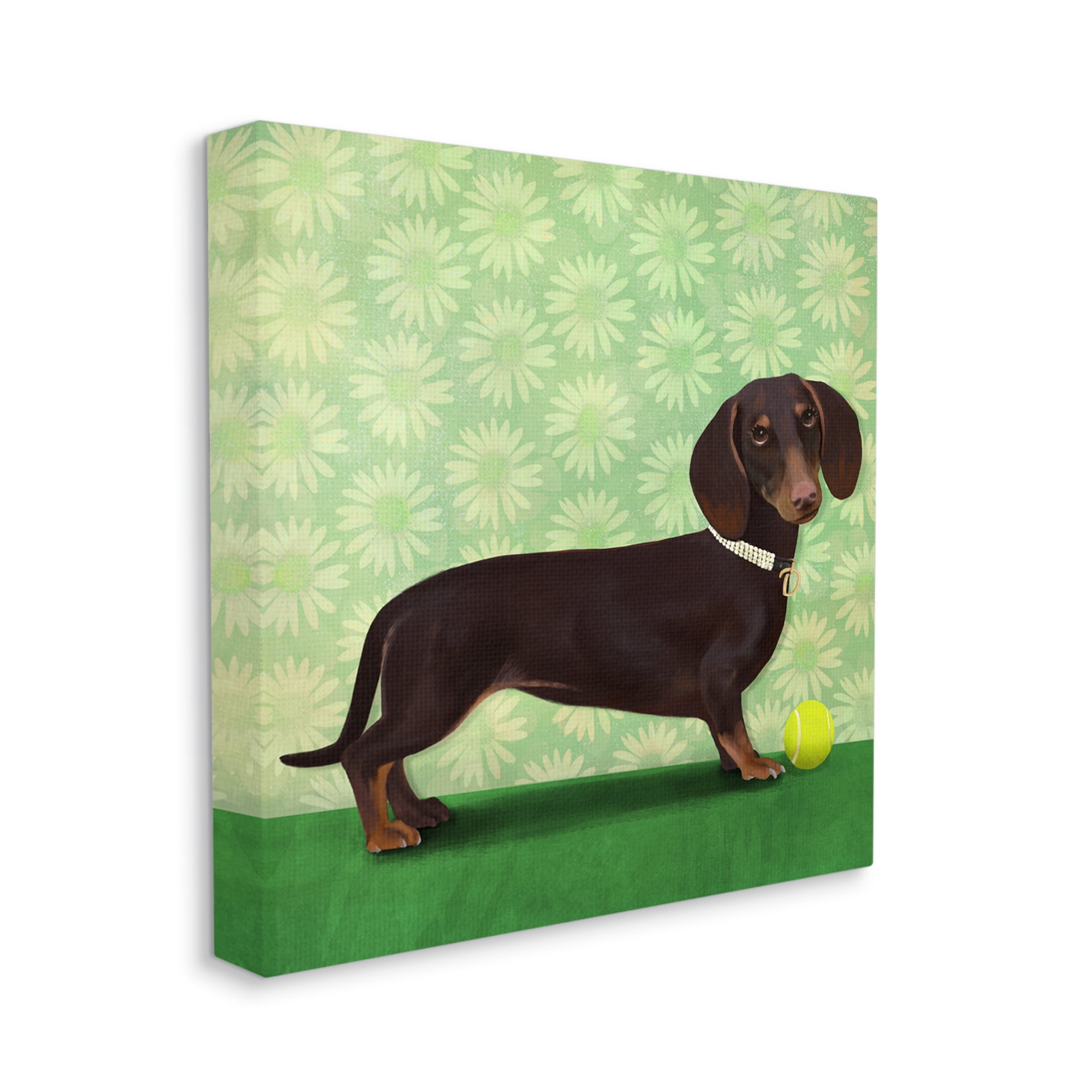 Stupell Industries Dachshund & Tennis Ball Animals & Insects Painting Gallery Wrapped Canvas Print Wall Art, 30 x 30