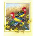 thumbnail image 2 of Cuadros Decorativos Bordado completo hilo de algodón ecológico 11CT impreso loro Kit de punto de cruz ilustraciones Wdftyju embutido en tela, 2 of 9