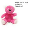 Valentines Day-Soft Pink Teddy Bear Plush Stuffed Animal Toy For Kids and Adults