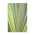 thumbnail image 2 of Gango Home Decor Contemporary Tropical Leaf Close-Up II by Karyn Millet (Printed on Paper); One 24x36in Fine Art Paper Giclee Print, 2 of 4