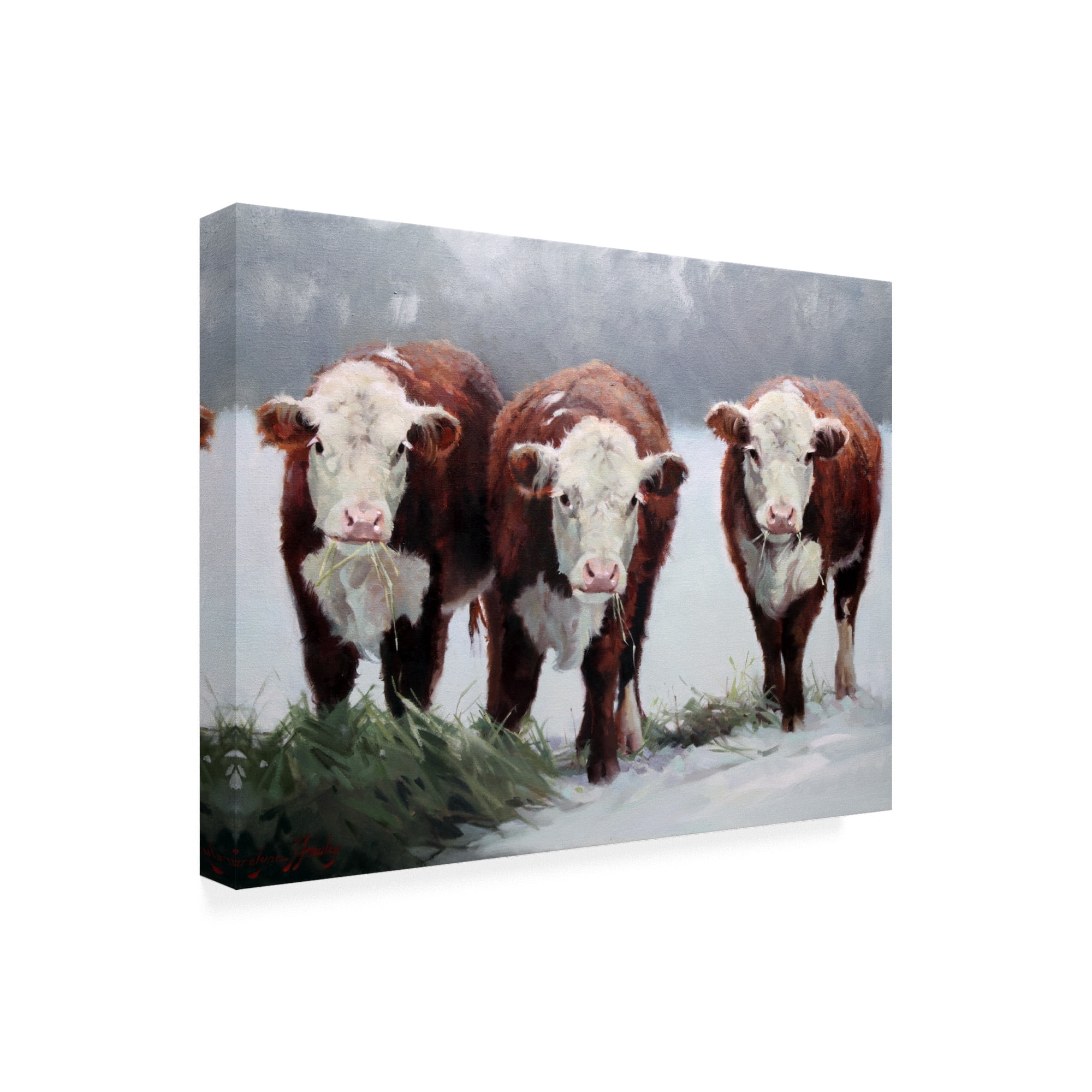 Trademark Fine Art 'Winter Shadows Cows' Canvas Art by Carolyne Hawley
