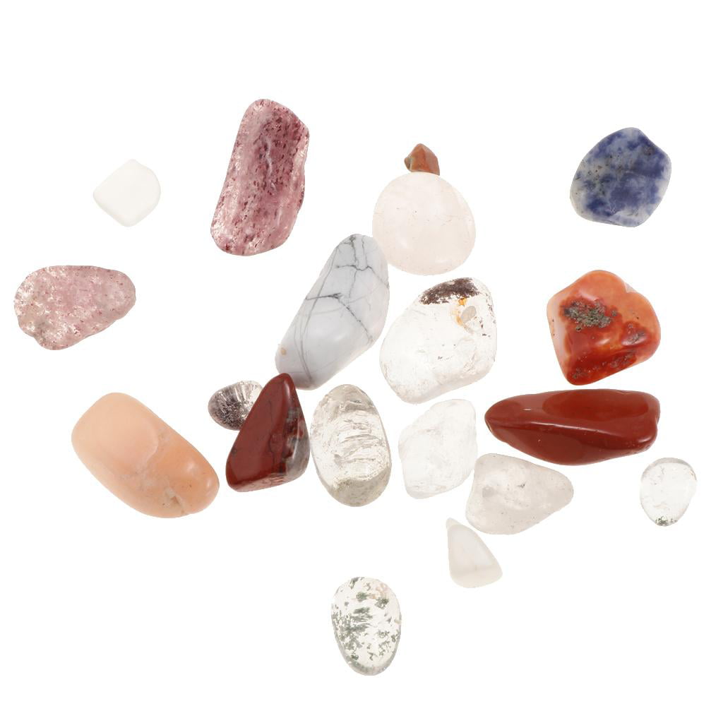 Rock & Mineral Collection Geology Gem Kit in Clear Case Mixed Minerals 