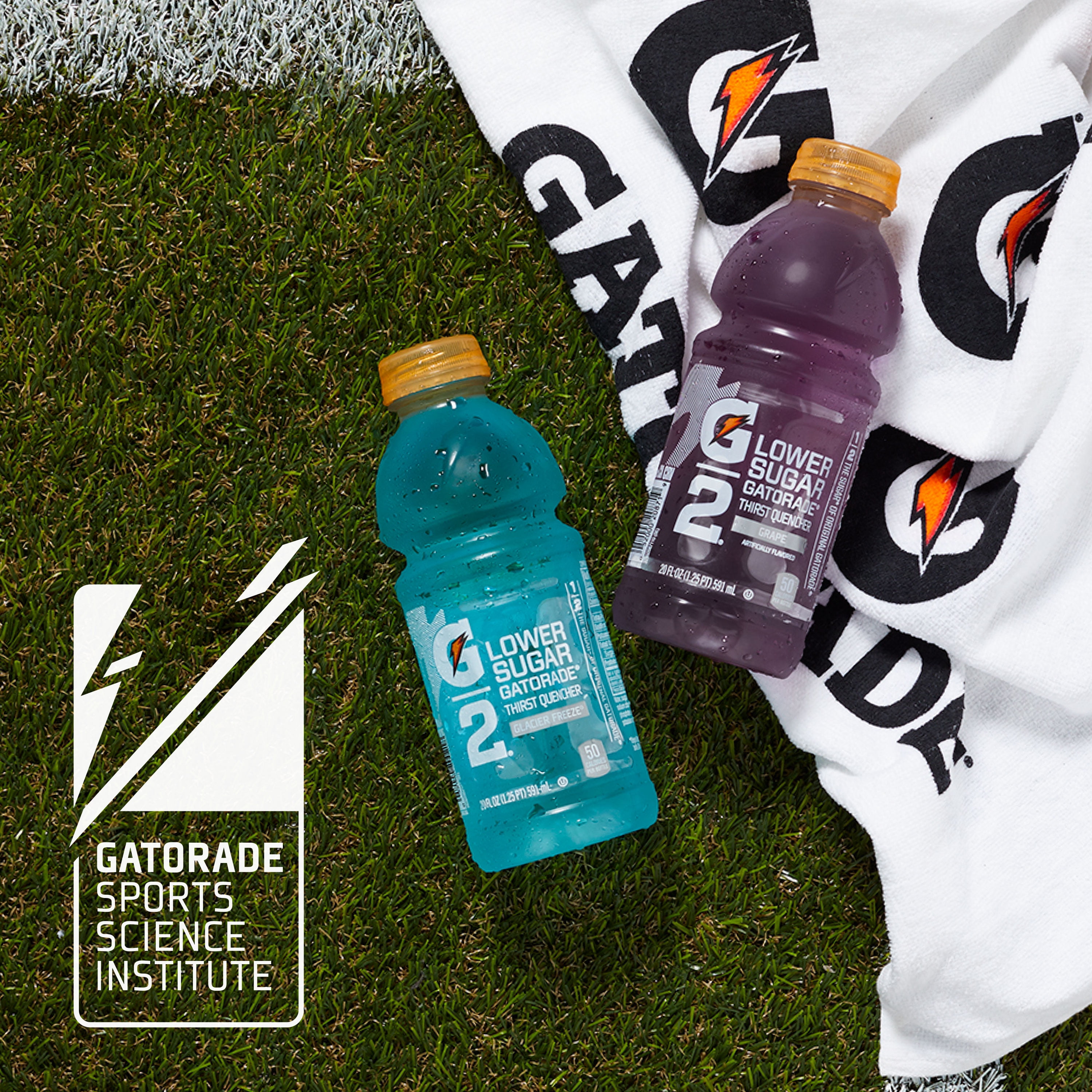 (12 Bottles) Gatorade G2 Thirst Quencher Low Calorie Sports Drink, Grape, 20 fl oz