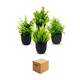 thumbnail image 1 of 4 Macetas Plantas Artificiales Macetas Decorativas Bonsai  base Lab.G Negro, 1 of 5