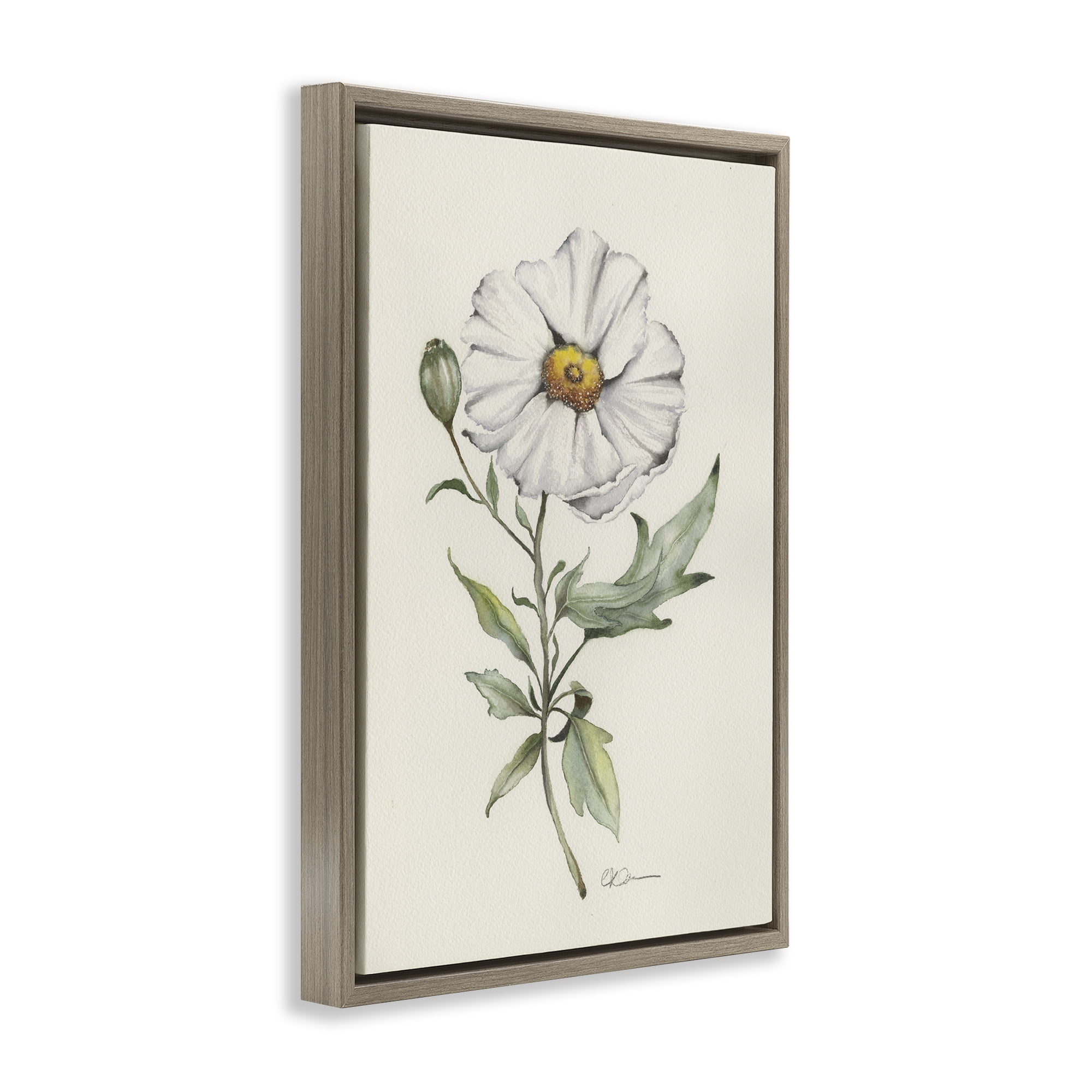 Stupell Industries Natural Wild Blossom Sprig Brown Framed Floater Canvas Wall Art, design by Cady Driver