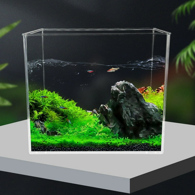 Nano aquarium decorations online