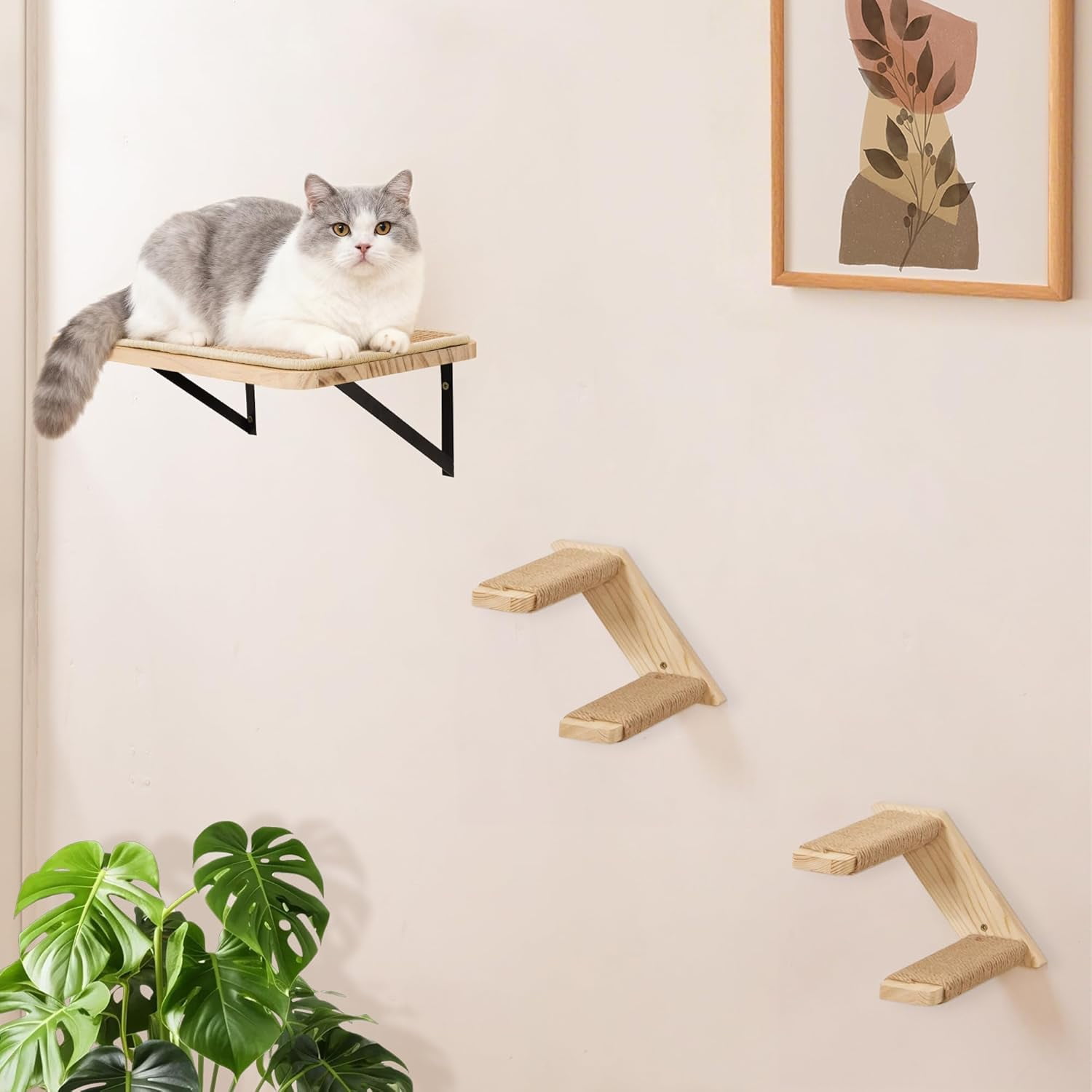 PELUOMOZ Wall Mounted Cat Ladder with Reversible Sisal Steps, Natural Wood Climbing Shelf