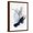 Brown Frame, variant on Art.com Foreshadow III Art Print by PI Studio, 12" x 18"
