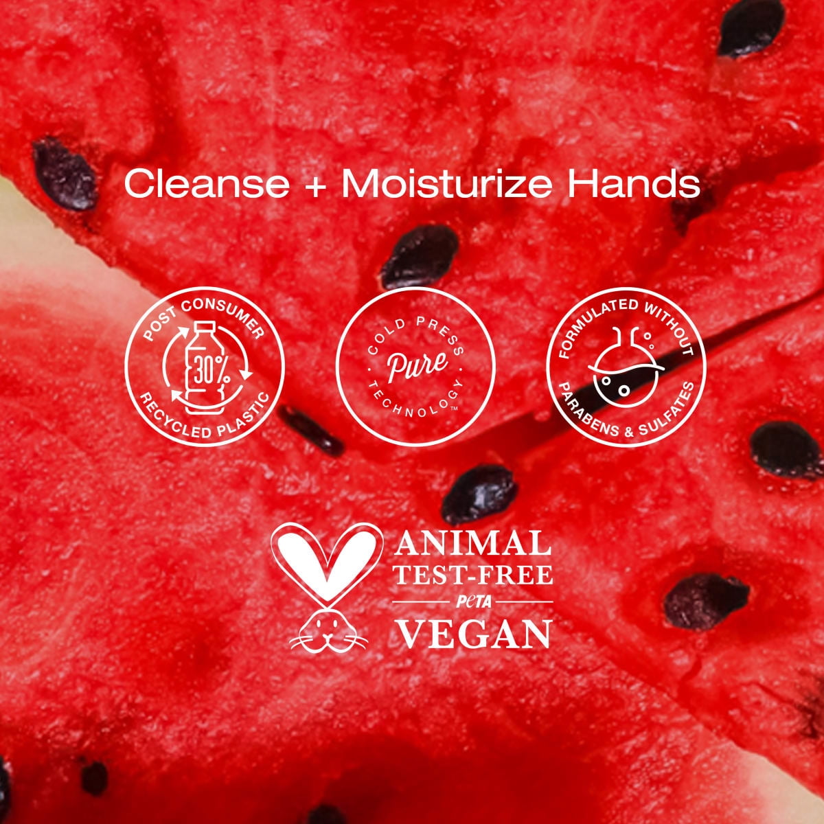Raw Sugar Moisture Loving Hand Wash, Watermelon + Fresh Mint Hand Soap, 16.9 fl oz
