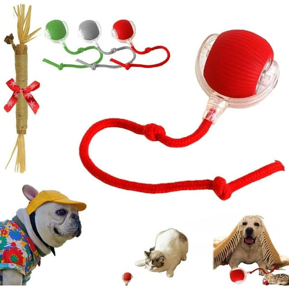 Rolie Pets, Rolie Pet Toyheicos Interactive Dog Ball, Smart Interactive Pet Toy Ball, Celery Pets Cat Toy Ball, Rechargeable Smart Pet Interactive Automatic Rolling Ball Toy (1P*A)