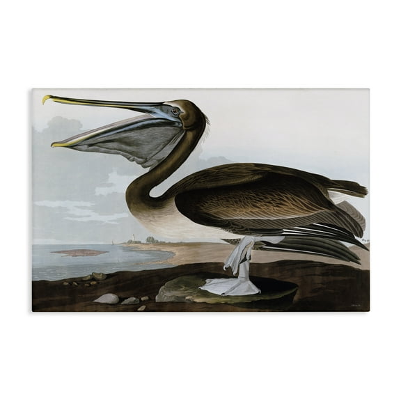 Stupell Industries Classic Pelican at Beach Animals & Insects Painting Gallery Wrapped Canvas Art Print Wall Art, 24 x 16