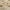 Light Brown, variant on oneOone Viscose Chiffon Violet Fabric Asian Block Fish Fabric For Sewing Printed Craft Fabric By The Yard 42 Inch Wide