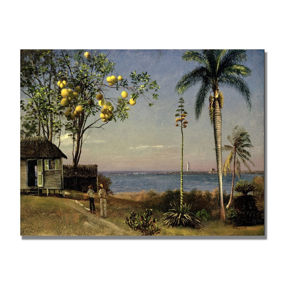 Trademark Fine Art "Tropical Scene" Canvas Art by Albert Biersdant