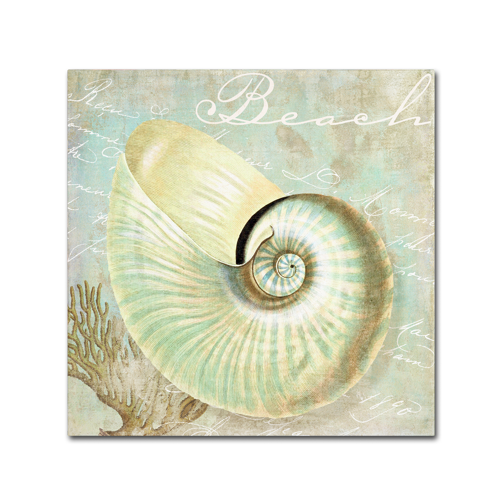 Trademark Fine Art "Turquoise Beach IV" Canvas Art by Color Bakery