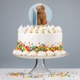 thumbnail image 4 of Acrylic Poodle Puppy Dog Book Shelf Cake Topper Party Decoration for Wedding Anniversary Birthday Graduation, 4 of 7
