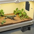 thumbnail image 4 of BESTYASH 6Ud Clips De Para Terrarios Antiescape Para De Reptiles En Color Negro, 4 of 8