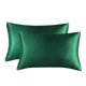 thumbnail image 1 of 100% Pure Mulberry Silk Pillowcases for Hair and Skin, Double Sided Soft and Smooth (20x30 Inch, Grey), 1 of 2
