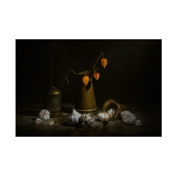 Lydia Jacobs 'Garlics' Canvas Art