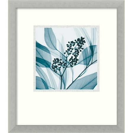 Amanti Art 'Eucalyptus I' by Steven N. Meyers Framed Photographic Print