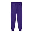 thumbnail image 3 of TNNZEET Women's Joggers with Pockets - High Waisted Sweatpants Tapered Leg Drawstring Lightweight Athletic Pants for Sports and Casual Wear,Purple,S, 3 of 3