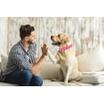 thumbnail image 3 of ORUYROP Spiked Dog Collar, Leather Dog Collar Rivets Studded Stylish Leather Spiked Pet Collars for Small Medium Large Dogs (L: for Neck Girth: 13 2/5-18 in, Rose Red), 3 of 4