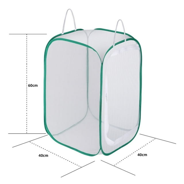 Housing Enclosure Foldable Cocoon Silkworm Hatch Grasshopper Habitat ...