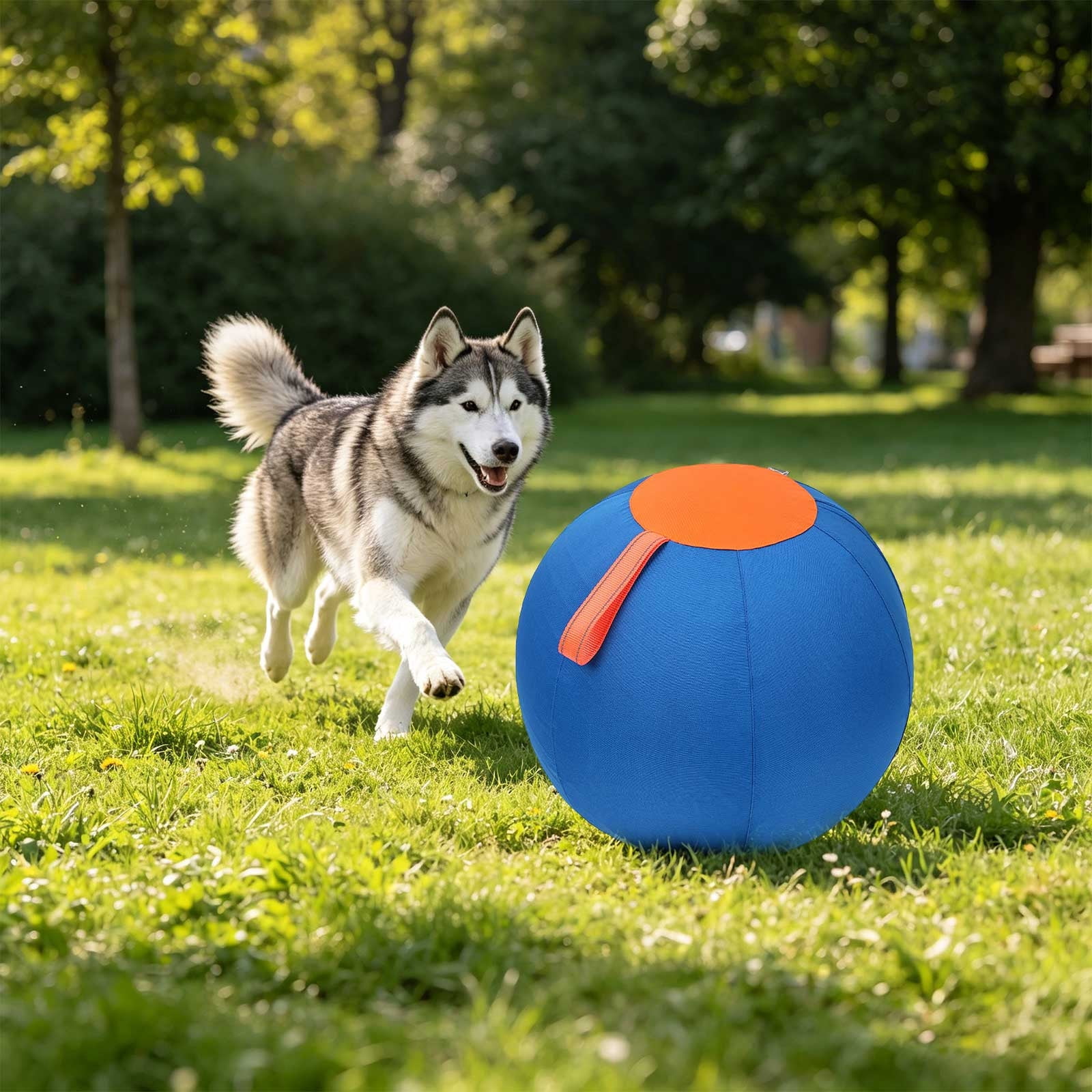 Dog Balls For Large Dogs – Extra Large Enrichment Ball, Tear-Resistant with Protective Cover & Air Pump, Available in Three Sizes for All Dogs