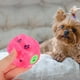 thumbnail image 3 of KAKOWELY Juguete interactivo para perros, pelota para perros, juguete dispensador de golosinas, juguete chirriante para perros, 3 of 5