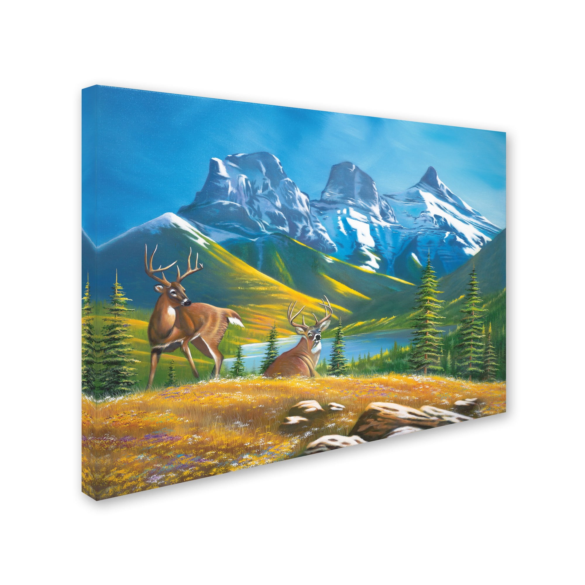 Trademark Fine Art 'Buck Country 2' Canvas Art by Geno Peoples