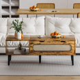 thumbnail image 5 of MUZZ 47-Inch Wooden Lift Top Coffee Table with Storage Shelf and Hidden Compartment,Center Table with Rattan Weaving for Home/Living Room/Office(Style 11), 5 of 6