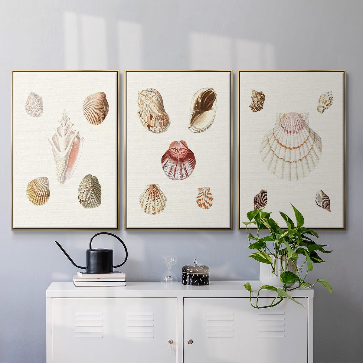 Pastel Knorr Shells IV - Framed Premium Gallery Wrapped Canvas L Frame 3 Piece Set - Ready to Hang
