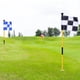 thumbnail image 4 of Bandera Verde de Golf Negra y Amarilla, de Bandera Colorida de Dos Secciones A Cuadros con Orificio de Objetivo Verde, Suministros de Golf, 4 of 5