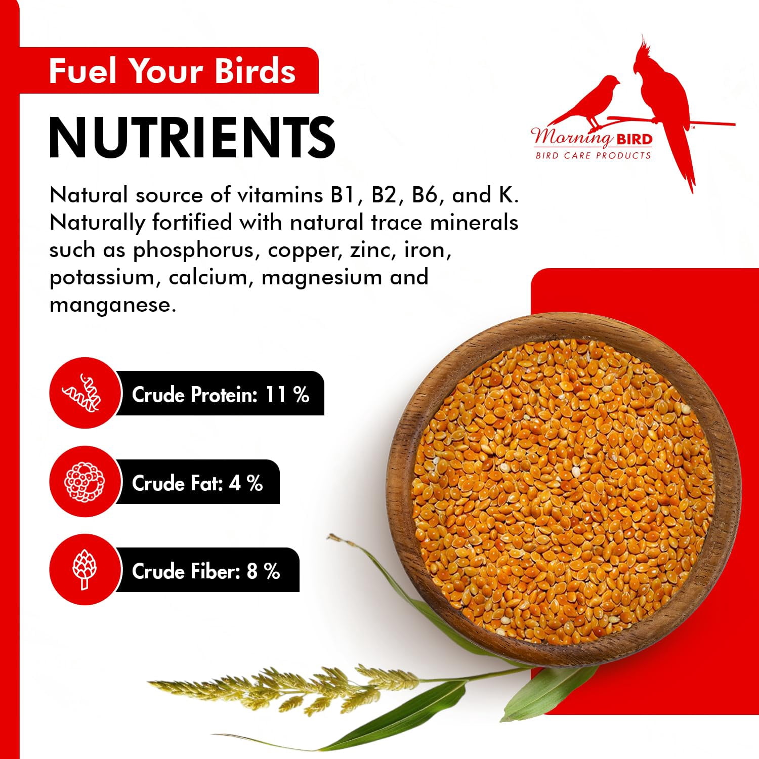 Morning Bird Red Proso Millet Bird Seeds 18 lbs (2-Pack, 9 lbs Each) – Healthy & Nutritious Pet Bird Food - Bird Seeds for Feather Growth – Perfect for Finches, Parakeets & Other All Pet Birds