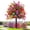 Mixed Colors, variant on Artificial Violet For Outdoor Indoor Garden Home Decoration, Uv Resistant & Waterproof Artificial Flower Decor, 23" Ground Insert Faux Violet Flowers For Porch Patio Garden Home Yard